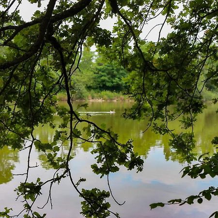 Espace Nature Studio Independant Proche Du Parc Des Oiseaux Sainte-Olive 外观 照片