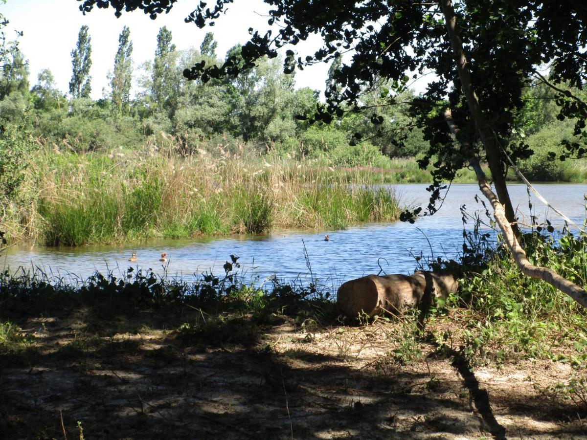 Espace Nature Studio Independant Proche Du Parc Des Oiseaux Sainte-Olive 外观 照片