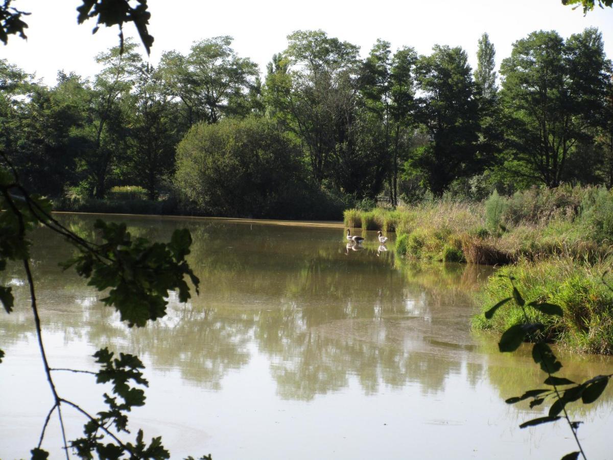 Espace Nature Studio Independant Proche Du Parc Des Oiseaux Sainte-Olive 外观 照片