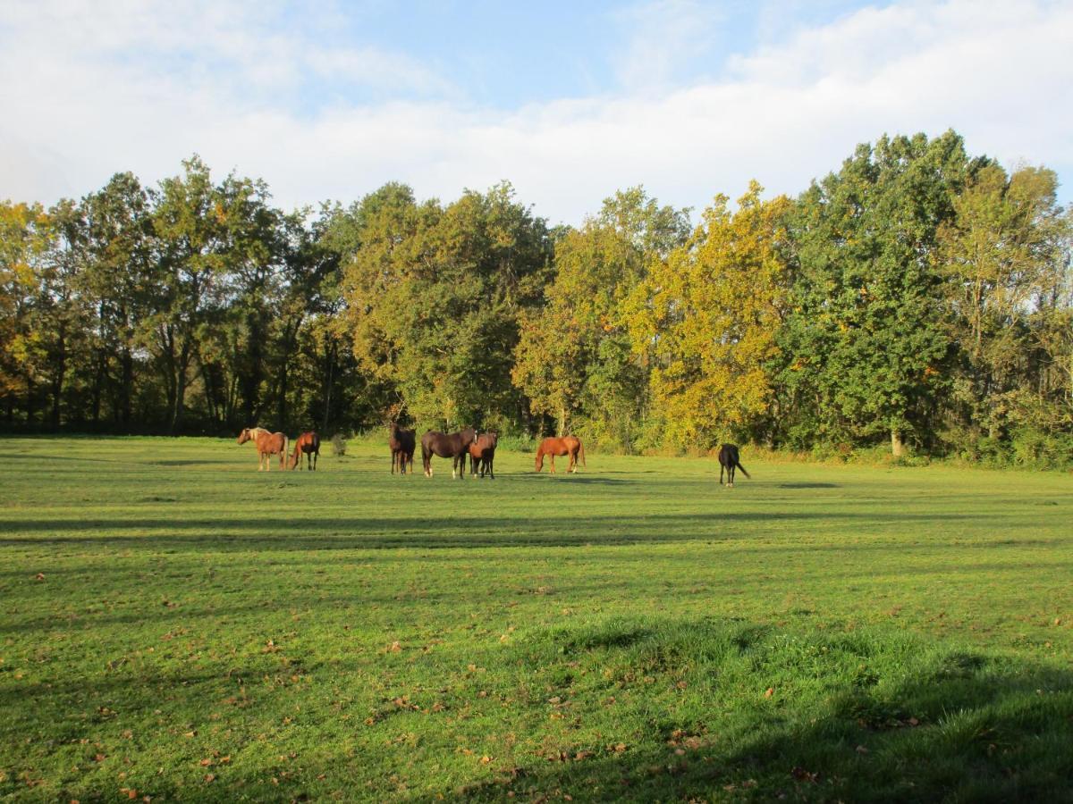 Espace Nature Studio Independant Proche Du Parc Des Oiseaux Sainte-Olive 外观 照片