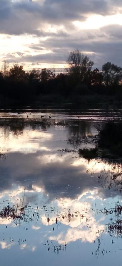Espace Nature Studio Independant Proche Du Parc Des Oiseaux Sainte-Olive 外观 照片