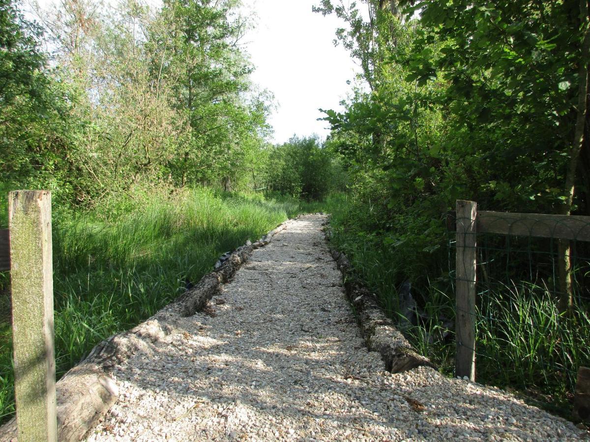 Espace Nature Studio Independant Proche Du Parc Des Oiseaux Sainte-Olive 外观 照片