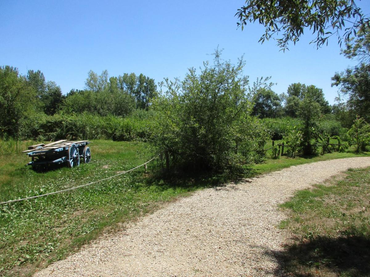 Espace Nature Studio Independant Proche Du Parc Des Oiseaux Sainte-Olive 外观 照片