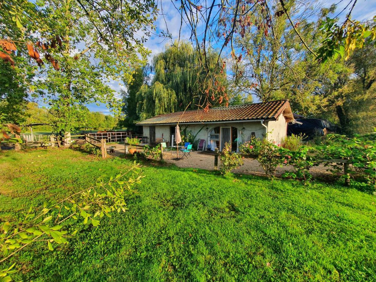 Espace Nature Studio Independant Proche Du Parc Des Oiseaux Sainte-Olive 外观 照片