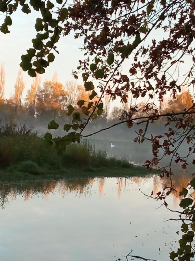 Espace Nature Studio Independant Proche Du Parc Des Oiseaux Sainte-Olive 外观 照片