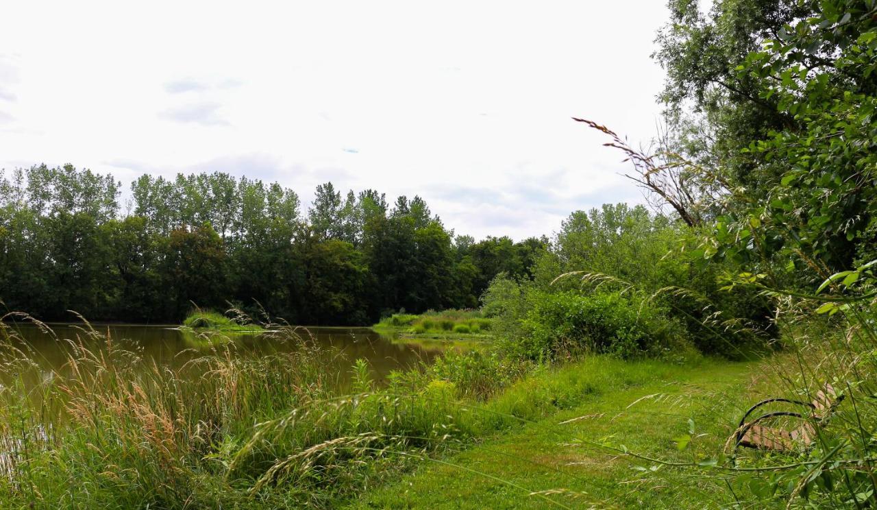 Espace Nature Studio Independant Proche Du Parc Des Oiseaux Sainte-Olive 外观 照片