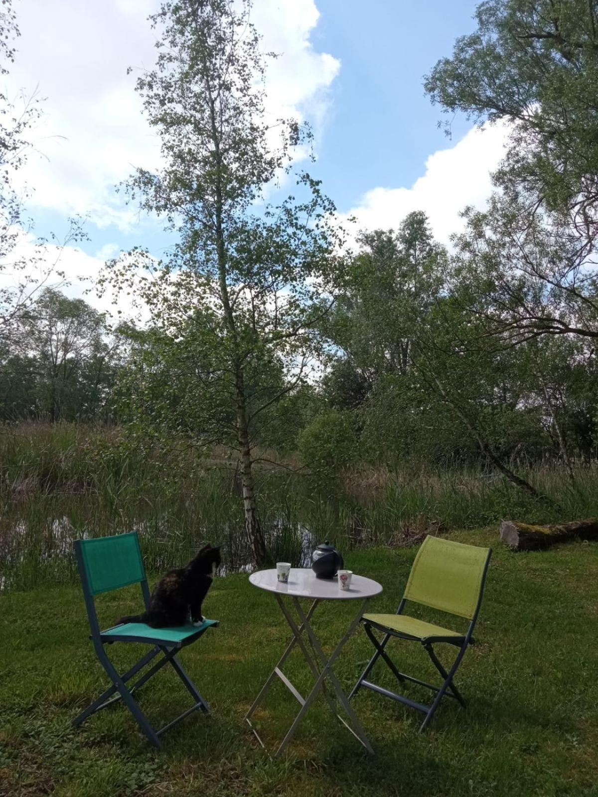 Espace Nature Studio Independant Proche Du Parc Des Oiseaux Sainte-Olive 外观 照片