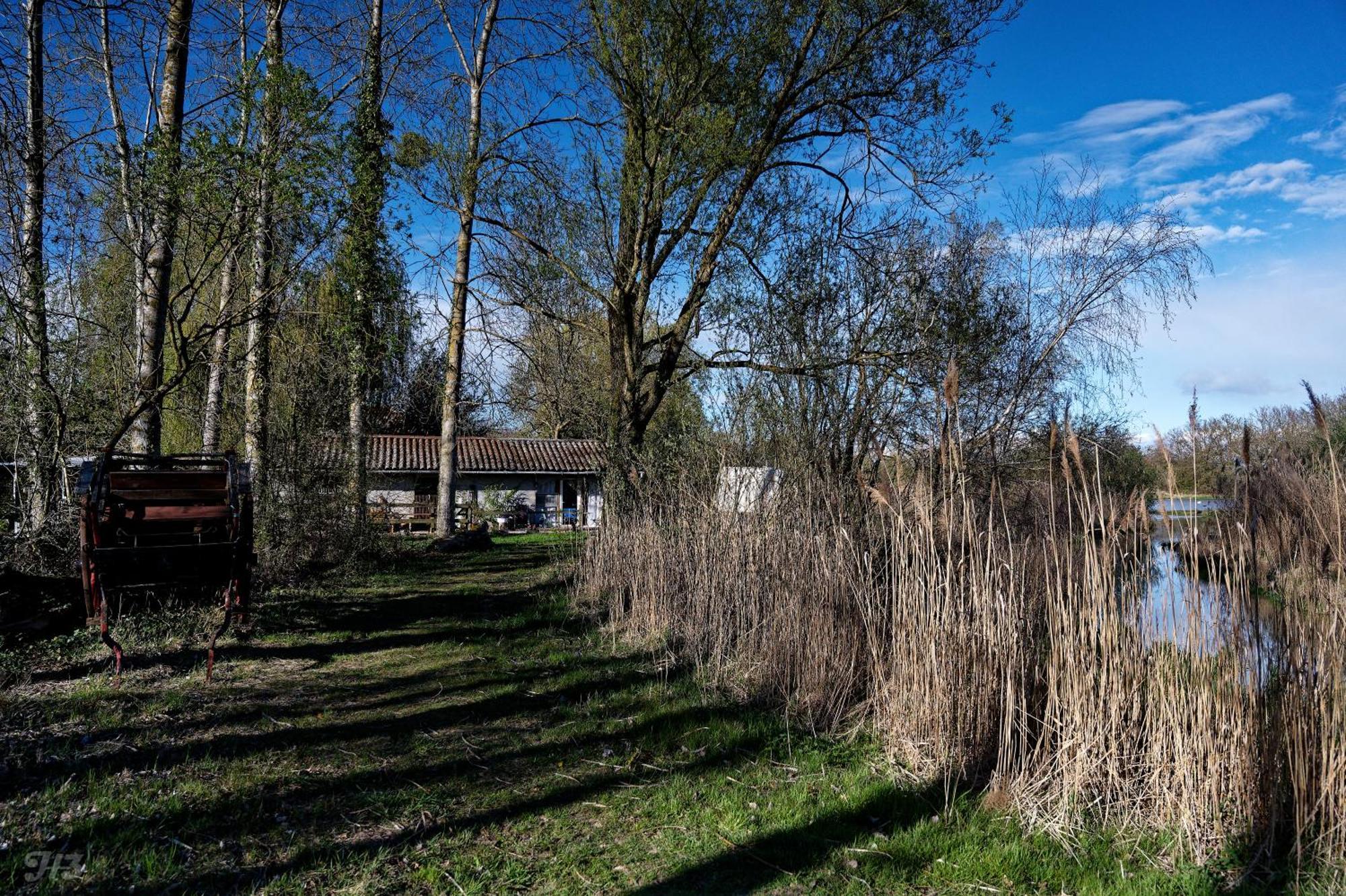 Espace Nature Studio Independant Proche Du Parc Des Oiseaux Sainte-Olive 外观 照片