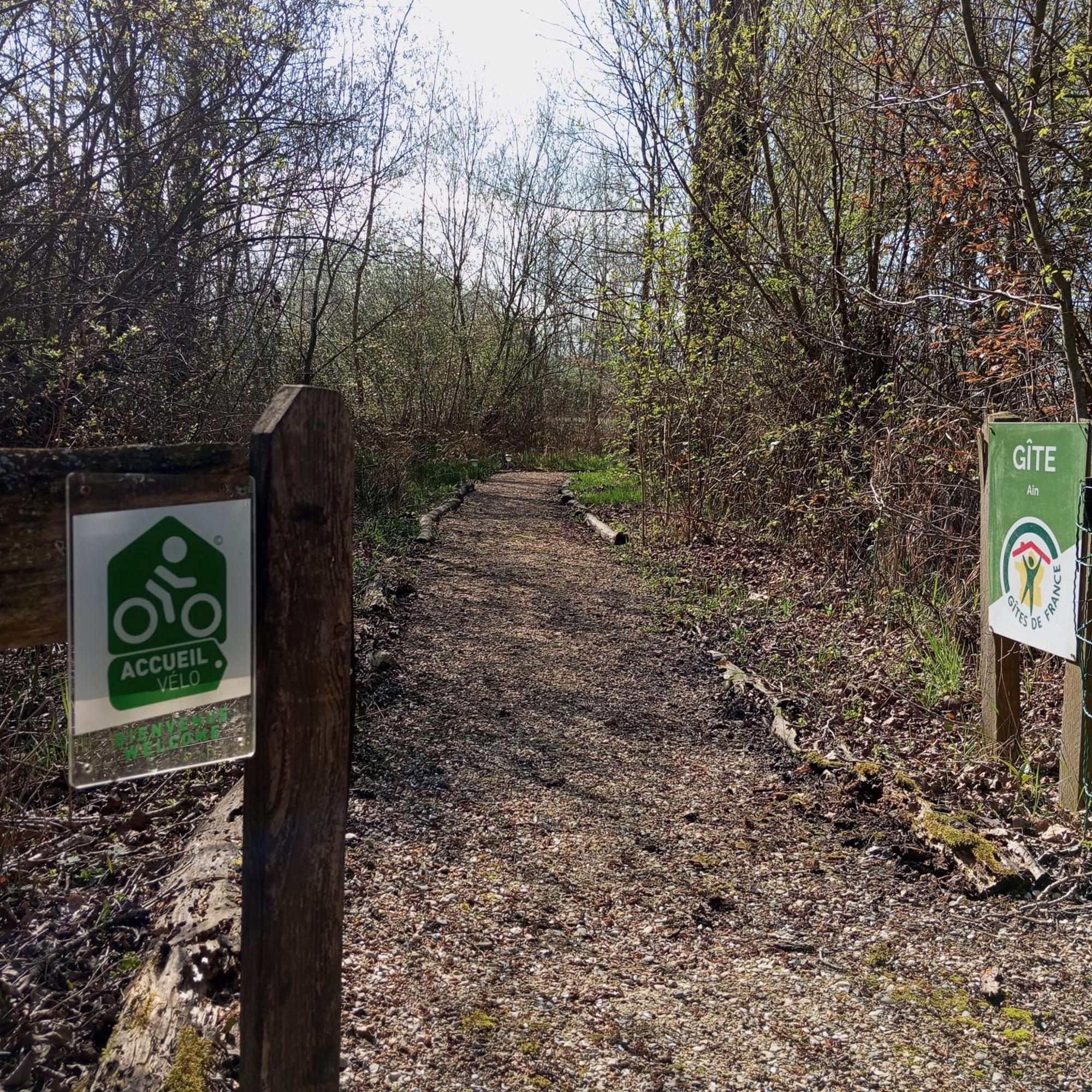 Espace Nature Studio Independant Proche Du Parc Des Oiseaux Sainte-Olive 外观 照片