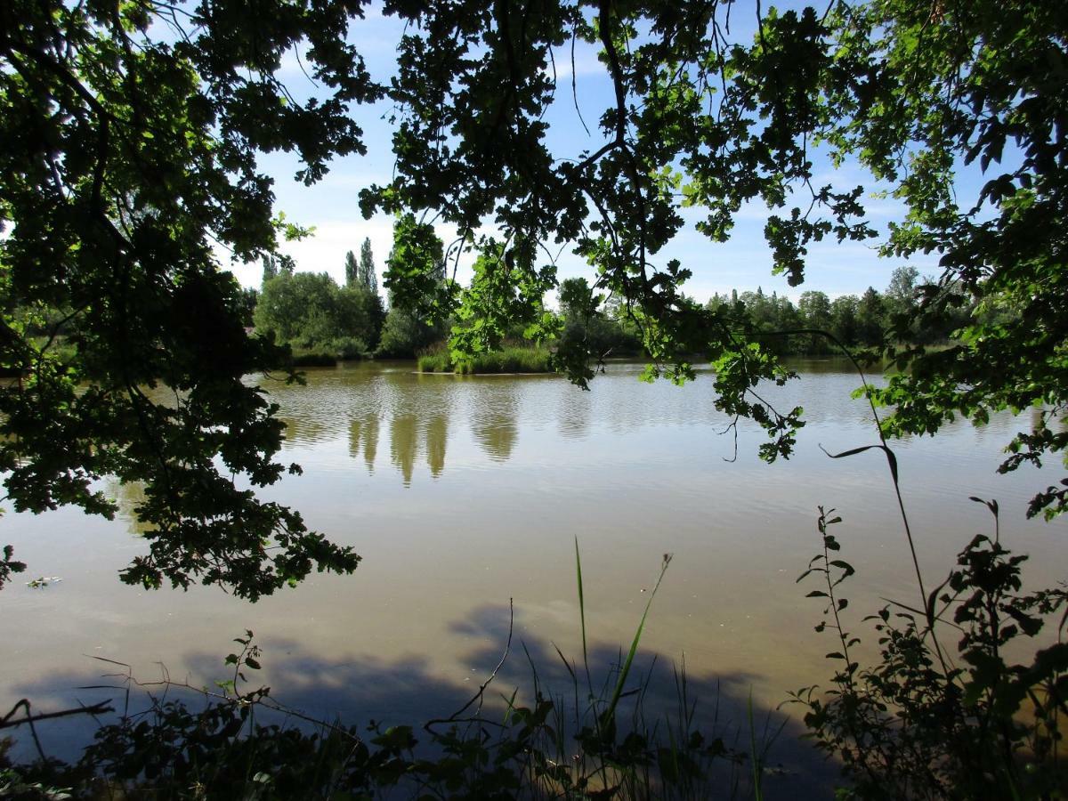 Espace Nature Studio Independant Proche Du Parc Des Oiseaux Sainte-Olive 外观 照片